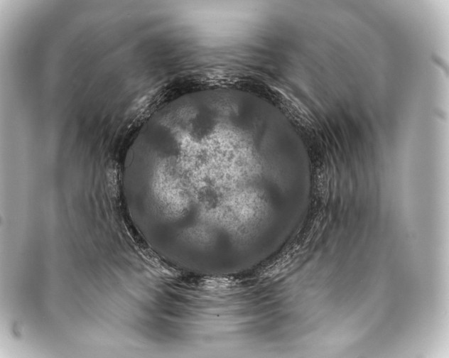 X0000095550757200712281606