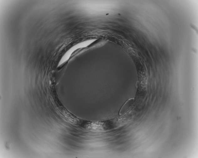 X0000095550758200712281606