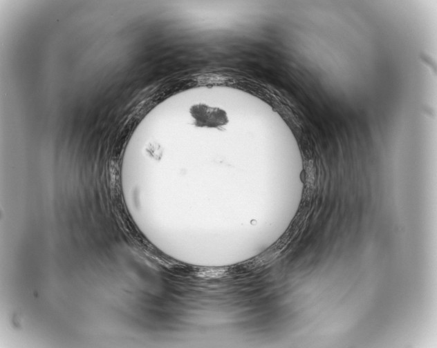 X0000095550761200712281606