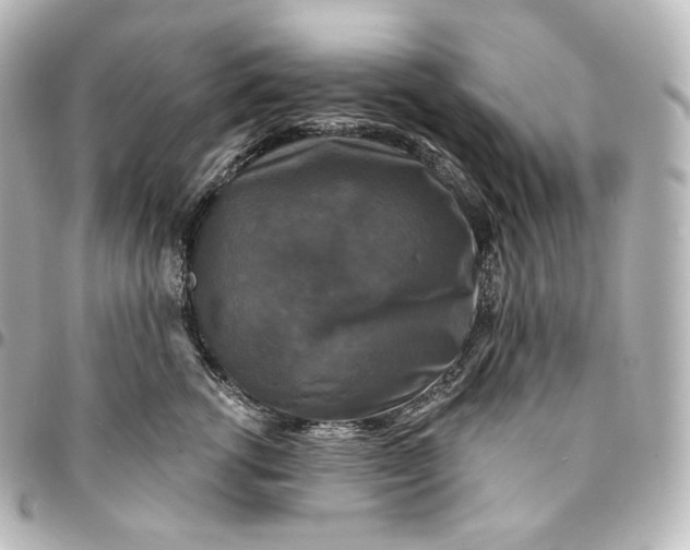 X0000095550762200712281606