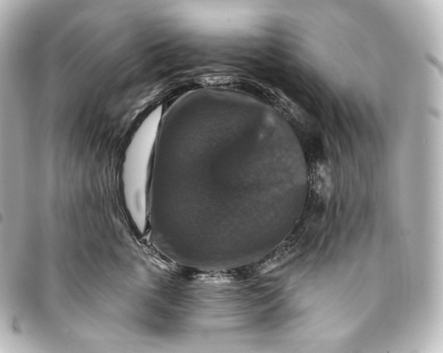 X0000095550763200712281606