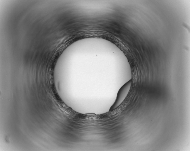 X0000095550764200712281606