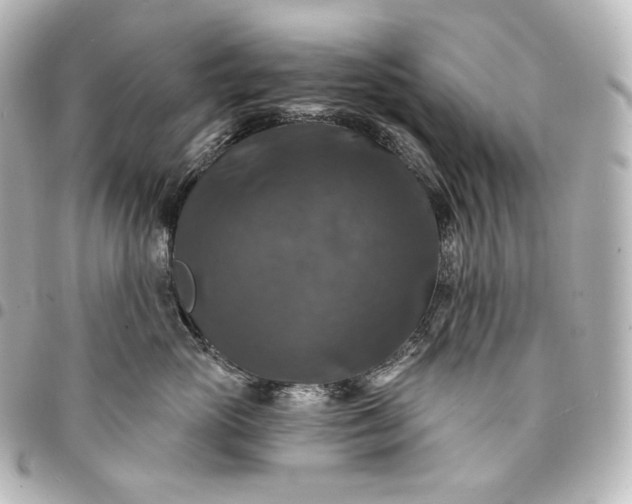 X0000095550765200712281606