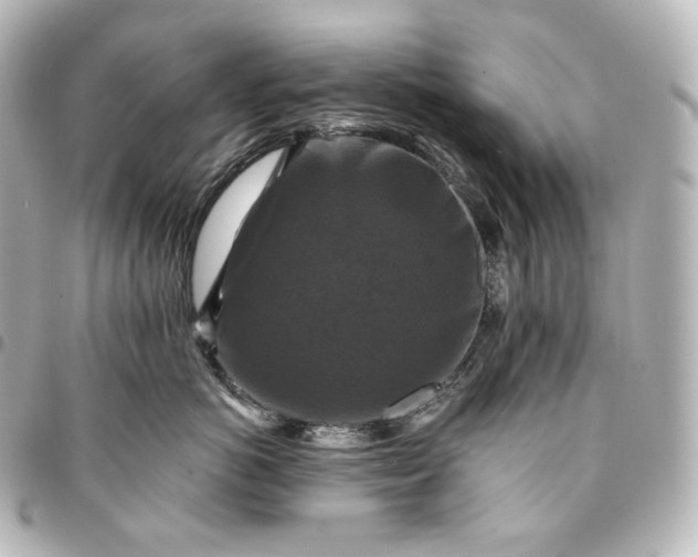 X0000095550766200712281606