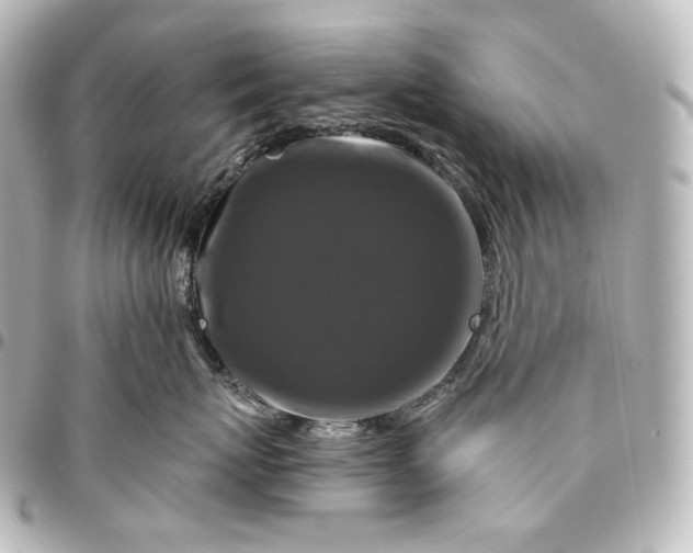 X0000095550767200712281606