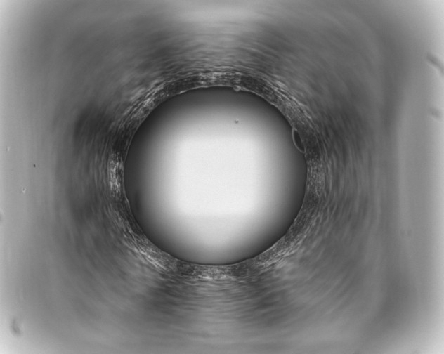 X0000095550770200712281605