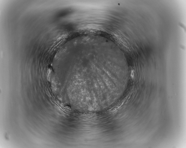 X0000095550771200712281605