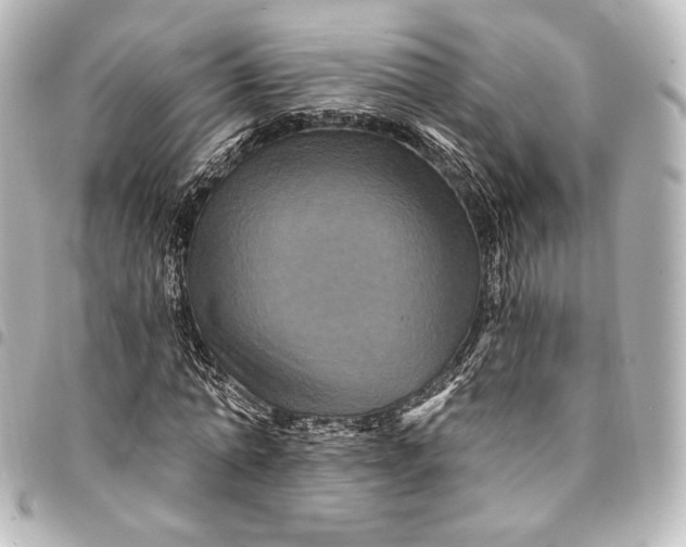 X0000095550774200712281605