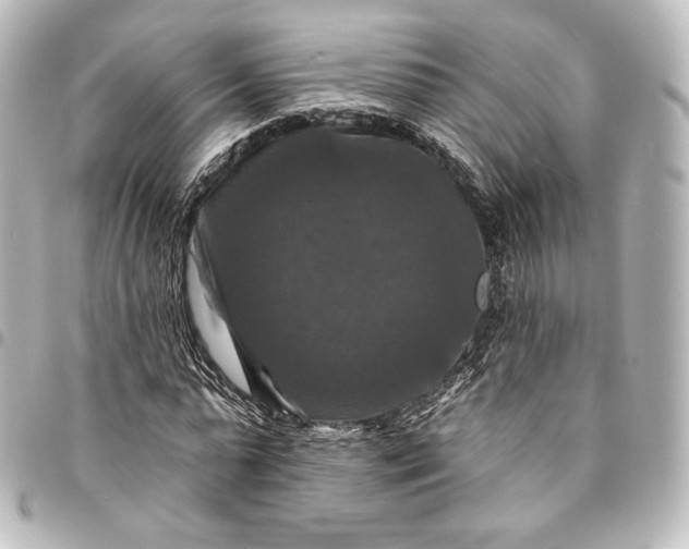 X0000095550775200712281605