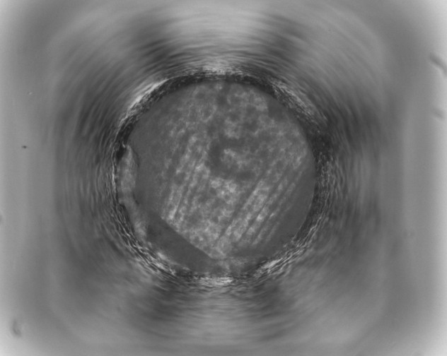 X0000095550776200712281605