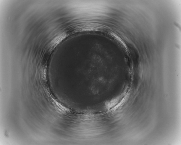 X0000095550777200712281605