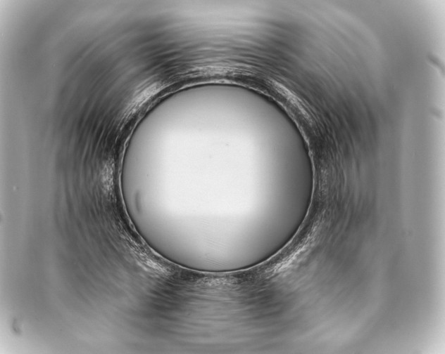 X0000095550778200712281605