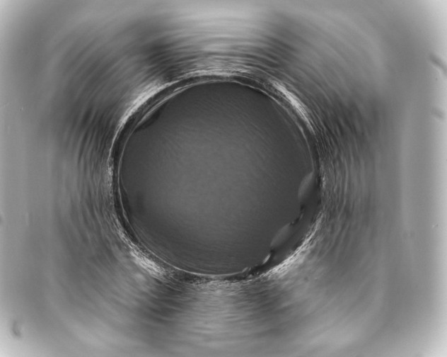 X0000095550779200712281605