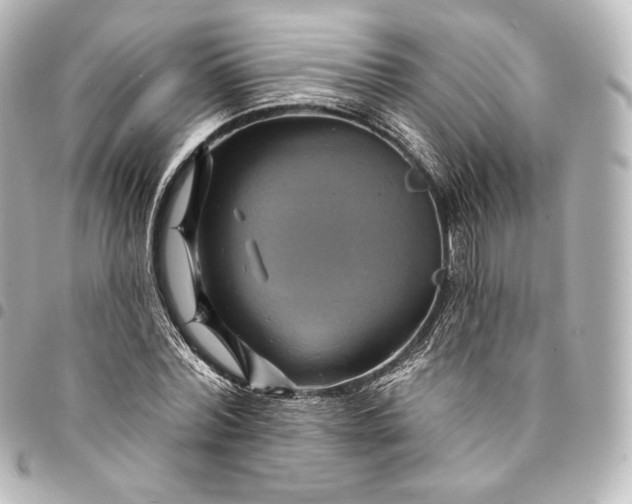 X0000095550780200712281605