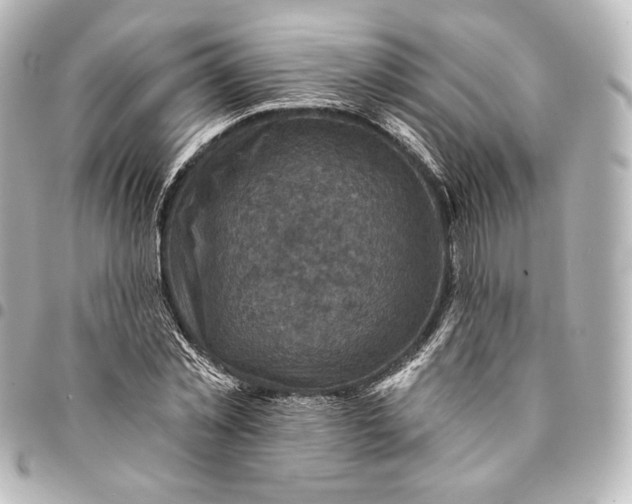 X0000095550781200712281605