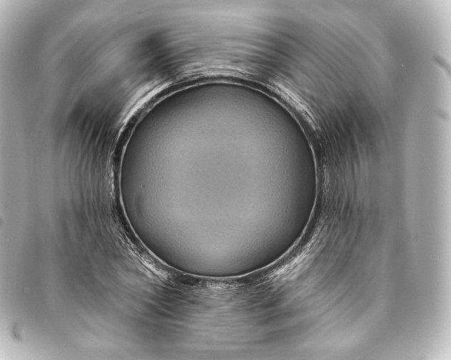 X0000095550782200712281605