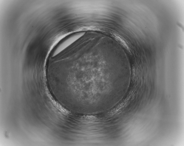 X0000095550784200712281605