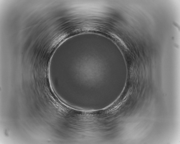 X0000095550785200712281605