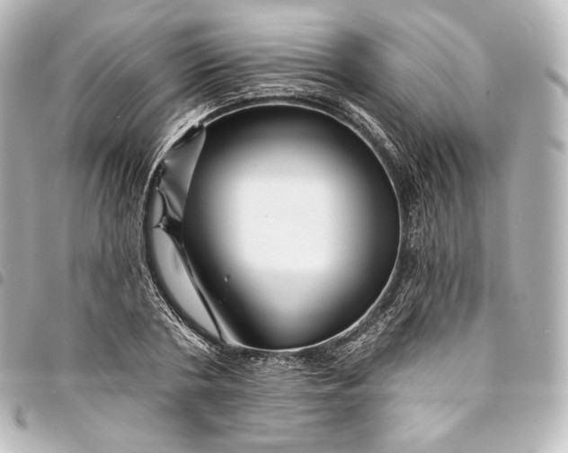 X0000095550786200712281605