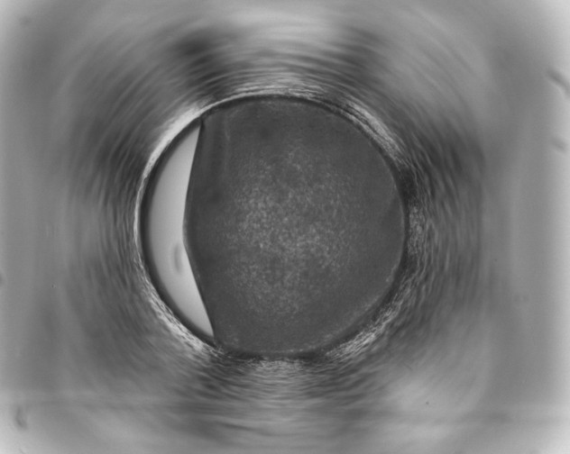 X0000095550788200712281605