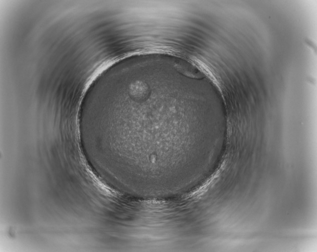 X0000095550789200712281605