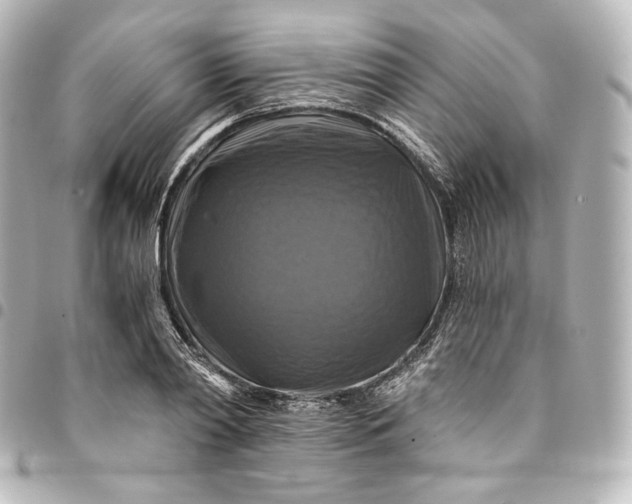 X0000095550790200712281605