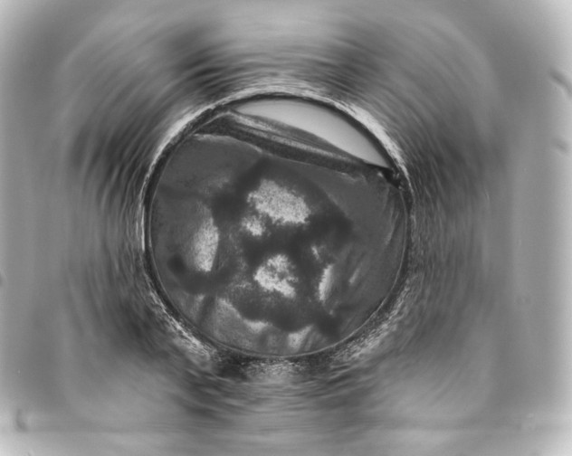 X0000095550791200712281605