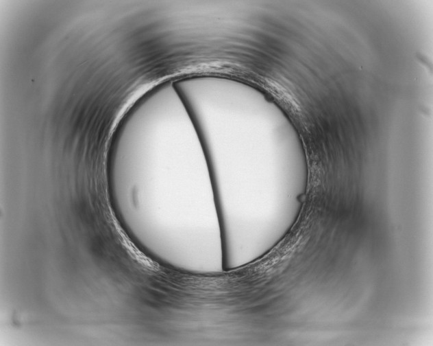 X0000095550792200712281605