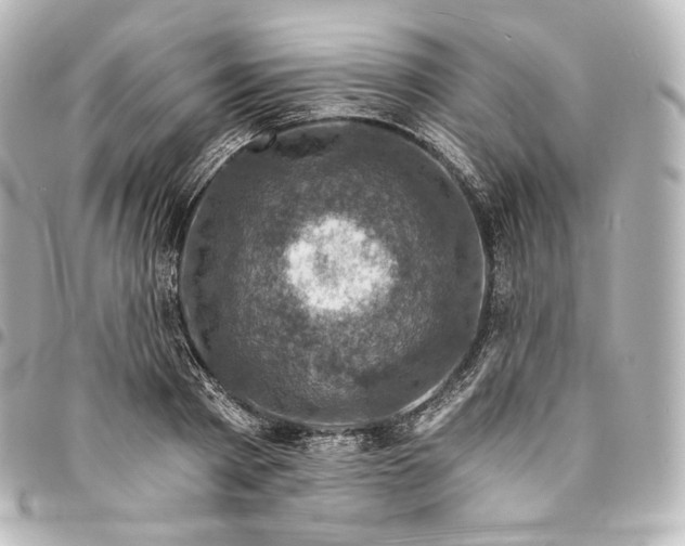 X0000095550793200712281605