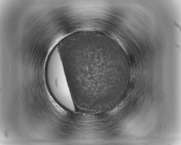 X0000095550795200712281605