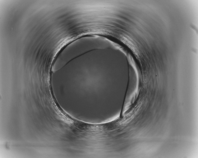 X0000095550797200712281605