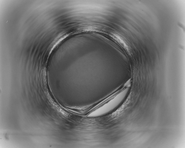 X0000095550798200712281605