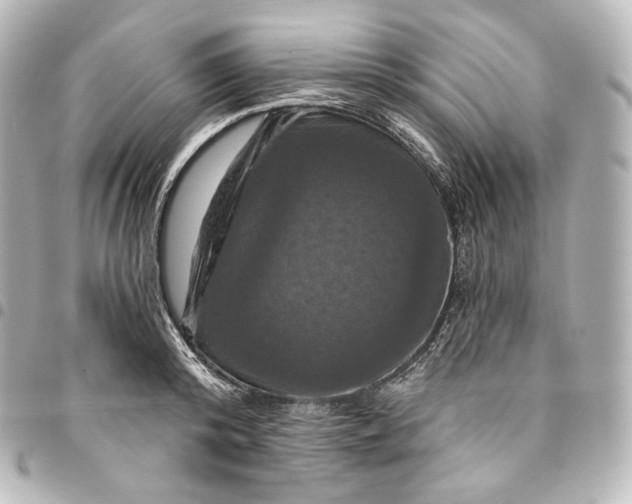 X0000095550800200712281605