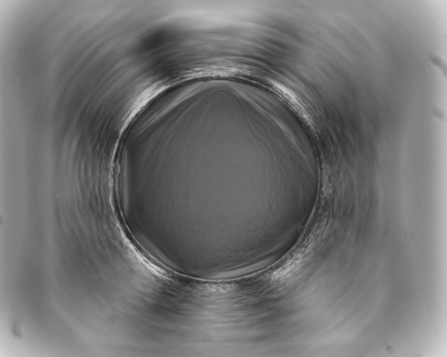 X0000095550802200712281605