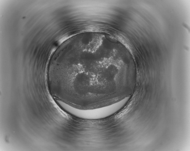 X0000095550803200712281605