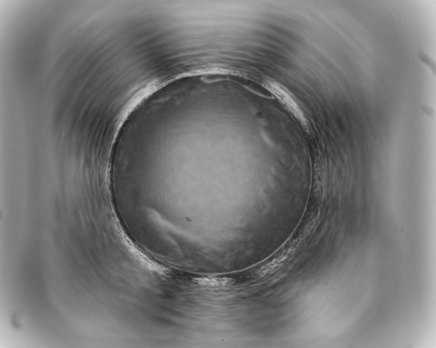 X0000095550805200712281605