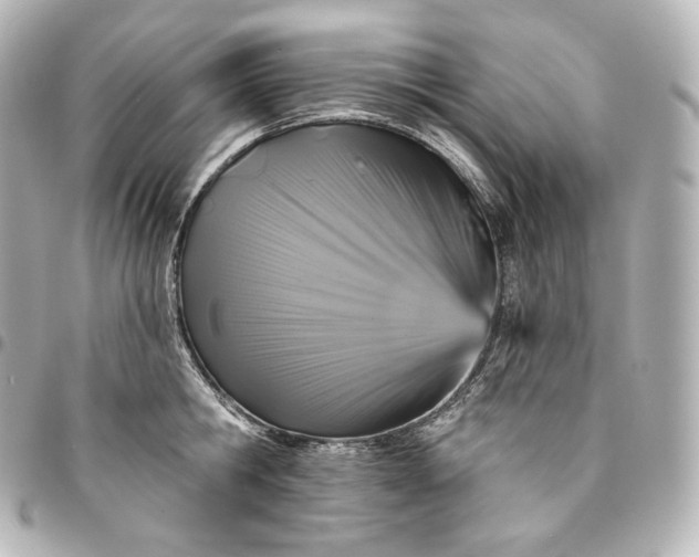 X0000095550806200712281605