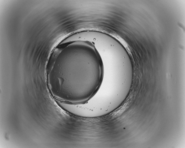 X0000095550807200712281605