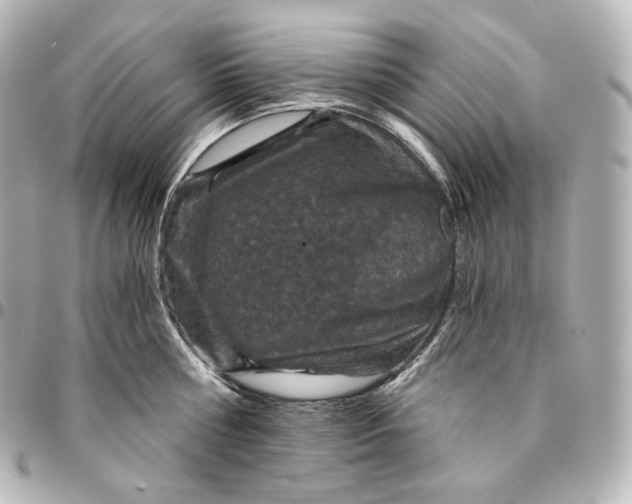 X0000095550810200712281605