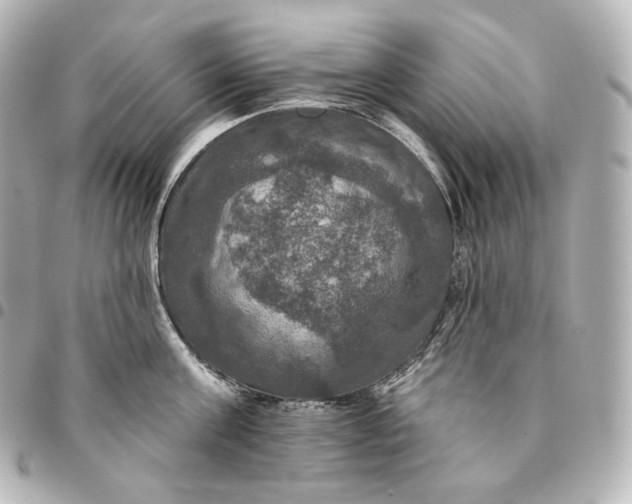 X0000095550811200712281605