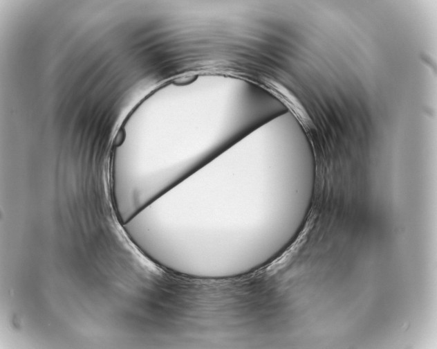 X0000095550812200712281605