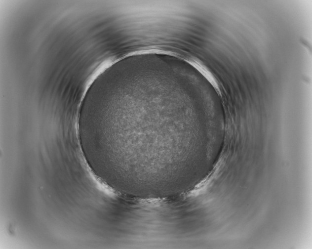 X0000095550813200712281605