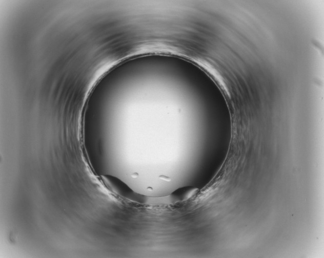 X0000095550815200712281605