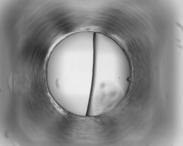 X0000095550816200712281605