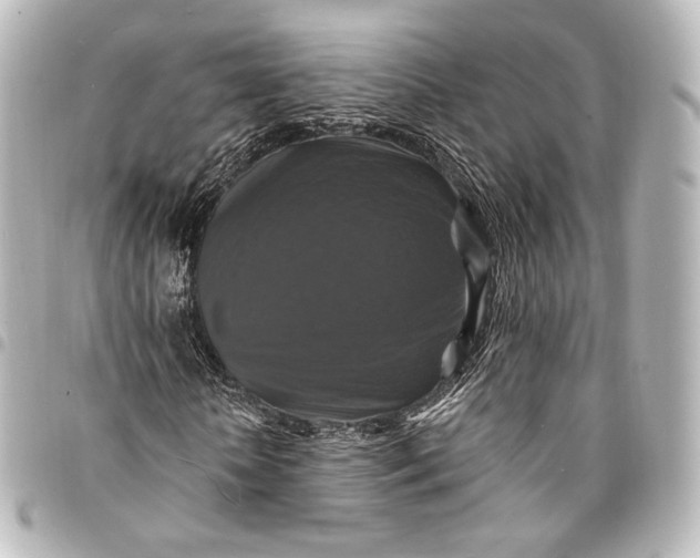 X0000095550818200712281604