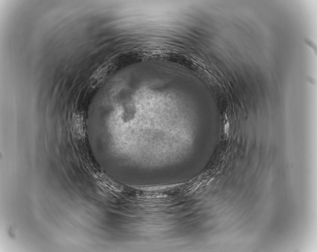 X0000095550819200712281604