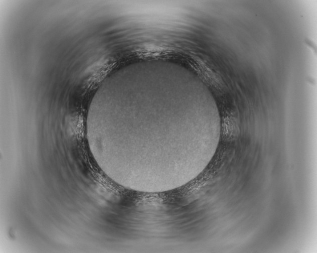 X0000095550820200712281604