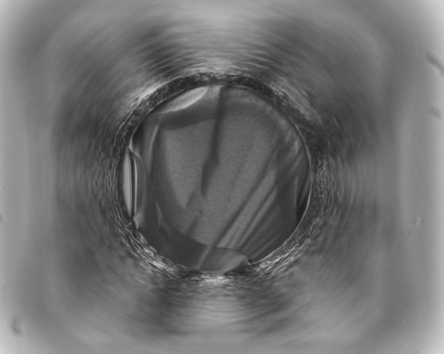 X0000095550822200712281604