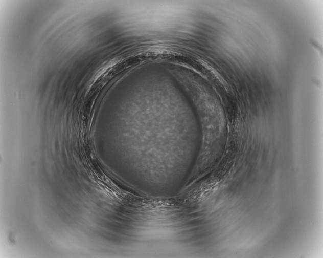 X0000095550823200712281604