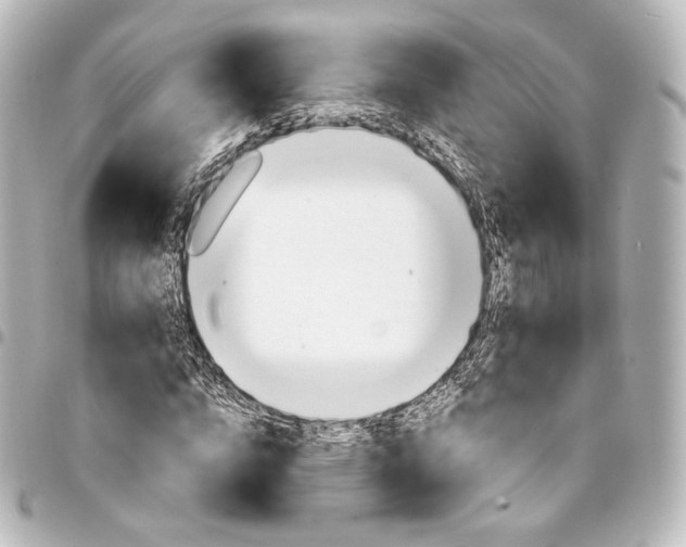 X0000095550824200712281604